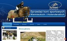 Projektowanie i Pozycjonowanie Stron Internetowych - 6