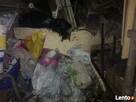 Sprzątanie komórek piwnic poddaszy opróżnianie mieszkań - 3
