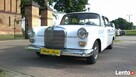 Klasyczne auta do ślubu od www.mercedes-retro.pl - 2