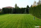 Projektowanie ogrodów, zakładanie ogrodów, tarasy drewniane - 6