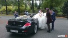 BMW 6 Cabrio V8 367 KM do ślubu i na plan filmowy