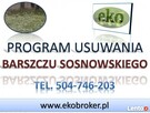 Program usuwania barszczu Sosnowskiego, plan walki Gmina - 4