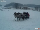 Kulig Karpacz - 2