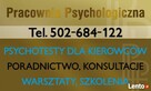 Psychotesty dla kierowców w Golubiu-Dobrzyniu - 2