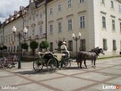 Kuligi sannie konie bryczki - 2