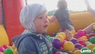 Tygrysek - DIONIZOS.INFO Wynajem zamek Dmuchańce, festyn - 4