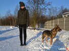 Aleks odrobinę wilczkowaty, w średnim wieku, kochany - 8