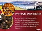 BOLĄCE KOLANA, KRĘGOSŁUP REGENERUJĄCY ŻEL ORTHOPYT - 5
