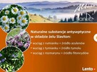 SKUTECZNY ŻEL NA ŻYLAKI, OBRZĘKI - KASZTANOWIEC - 9