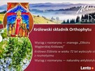 BOLĄCE KOLANA, KRĘGOSŁUP REGENERUJĄCY ŻEL ORTHOPYT - 10