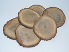 Plastry drewna o średnicy 12-15 cm - Dąb - 2