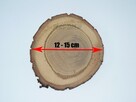 Plastry drewna o średnicy 12-15 cm - Dąb - 4