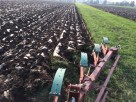 Usługi rolnicze orka bronowanie siew koszenie trawy transpot - 5
