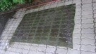 mycie,czyszczenie kostki brukowej,elewacji,dachów,kamienia - 4