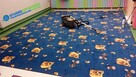 Profesjonalne i skuteczne pranie tapicerki dywanów i wykładz - 7