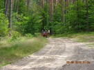 Przejażdzki bryczką, noclegi, kuligi, spływy kajakowe - 6