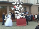 pudło z balonami na wesele-wolne terminy-niska cena - 7