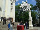 pudło z balonami na wesele-wolne terminy-niska cena - 6