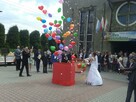 pudło z balonami na wesele-wolne terminy-niska cena - 5