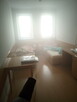 OLPEST SERWIS - odpluskwianie, zwalczanie pluskwy domowej - 2