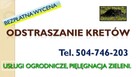 przewóz,transport,samochodem z windą,Wrocław, wysoki  - 4