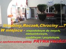 sala zabaw - MIEJSCE ORYGINALNE, INNE OD WSZYSTKICH - 2