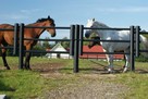 Equisafe - ogrodzenia elektryczne dla koni, hdpe, pastuch - 7
