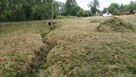 Rębak .Wycinka drzew. Karczowanie.Koszenie. Montaż ogrodzeń. - 13