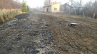 Rębak .Wycinka drzew. Karczowanie.Koszenie. Montaż ogrodzeń. - 4