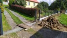 Rębak .Wycinka drzew. Karczowanie.Koszenie. Montaż ogrodzeń. - 8