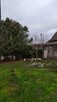 Rębak .Wycinka drzew. Karczowanie.Koszenie. Montaż ogrodzeń. - 3