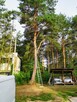 Rębak .Wycinka drzew. Karczowanie.Koszenie. Montaż ogrodzeń. - 6