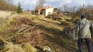 Rębak .Wycinka drzew. Karczowanie.Koszenie. Montaż ogrodzeń. - 2