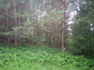 Piękna działka w pobliżu Arłamowa. - 9