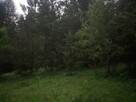 Piękna działka w pobliżu Arłamowa. - 5