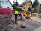 Usuwanie / frezowanie pni / usługi rębakiem / Przycinanie Dr - 2