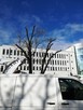 Usuwanie / frezowanie pni / usługi rębakiem / Przycinanie Dr - 8
