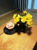 Mielno Apartamenty AP 3 Centrum - 6