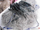 siatka na ryby siec rybacka sieci rybackie siatki - 7
