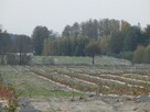 Wycena nieruchomości, operat szacunkowy do banku, sprzedaży - 8