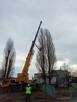 Usługi dźwigowe do 600 ton - 4