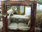 Stare okno szafka z drzewa przedwojennego loft, retro 70x117 - 6