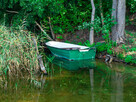pokoje pod sosnami czystejeziora pl zbiczno 2 - 5