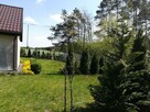 UROCZY DOM na Wsi wśród leśnego zacisza z pięknym OGRODEM pr - 16