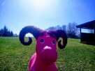 Animacje, Urodziny, Wioska Indiańska, Archery Tag, Pikniki - 6