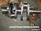 mtz, pronar,belarus, t-150k,ltz, t25 częsci wysyłka w24h. - 12