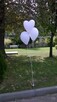 Balony z HELEM Konstancin - Jeziorna Dostawa do domu Hel - 16