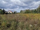 Transport, utylizacja gałęzi, drzewa, odpadów zielonych. Gab - 6