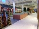 Lokal pod gastronomie w Zgorzelec Plaza - 3