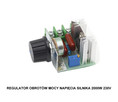SCR Regulator napięcia AC 220V 2000W - 1